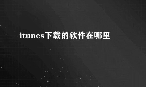 itunes下载的软件在哪里
