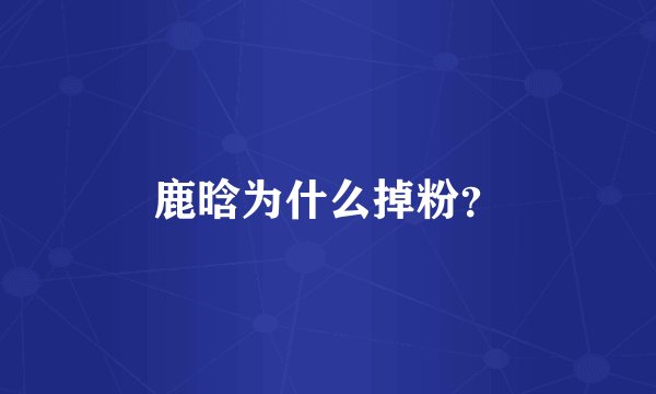 鹿晗为什么掉粉？