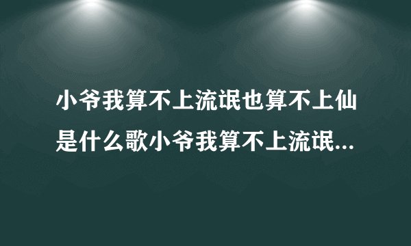 小爷我算不上流氓也算不上仙是什么歌小爷我算不上流氓也算不上仙完整歌词