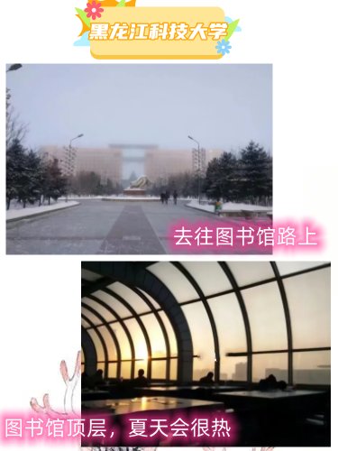 黑龙江科技大学的图书馆怎么样