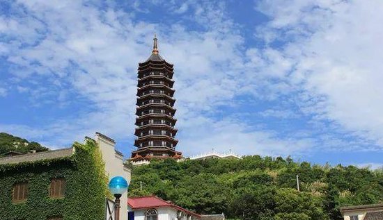 盛放的意思是什么？