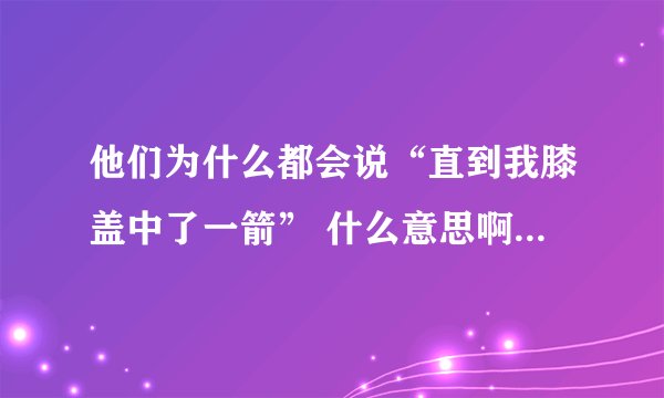 他们为什么都会说“直到我膝盖中了一箭” 什么意思啊？？@！！愁死人