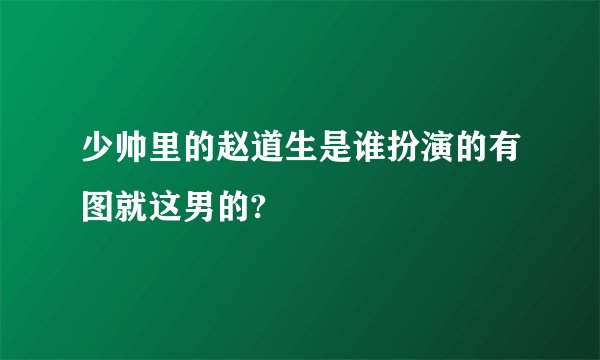 少帅里的赵道生是谁扮演的有图就这男的?