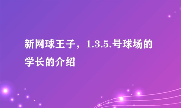 新网球王子，1.3.5.号球场的学长的介绍
