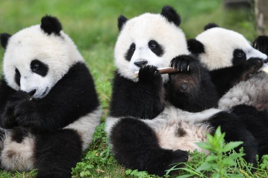 哪里旅游比较好玩