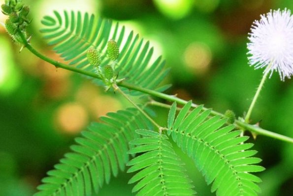 含羞草传媒2021隐藏路线