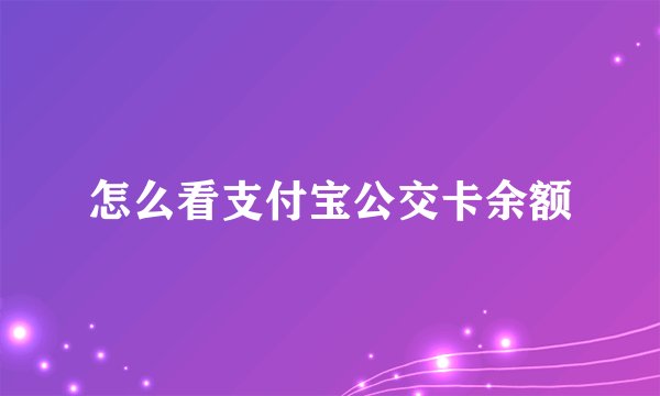 怎么看支付宝公交卡余额