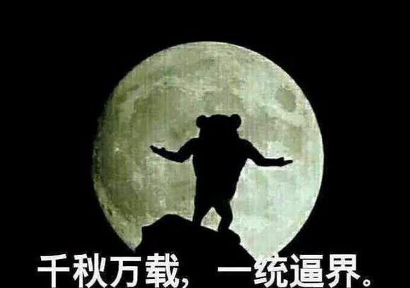 这个表情图片下面原本有字的，是什么字啊？有人知道吗？想表达什么？