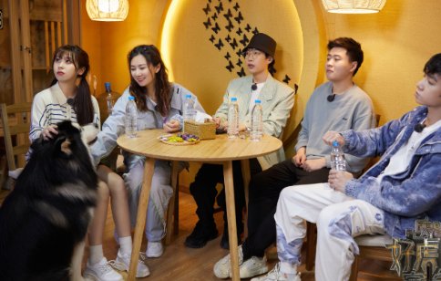 《好虎的密室》为什么下架了？