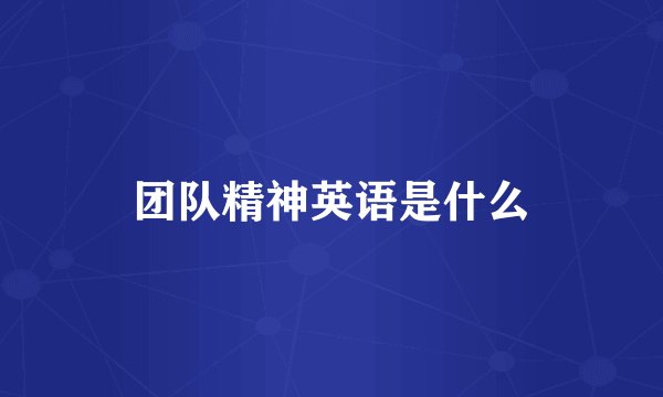 团队精神英语是什么