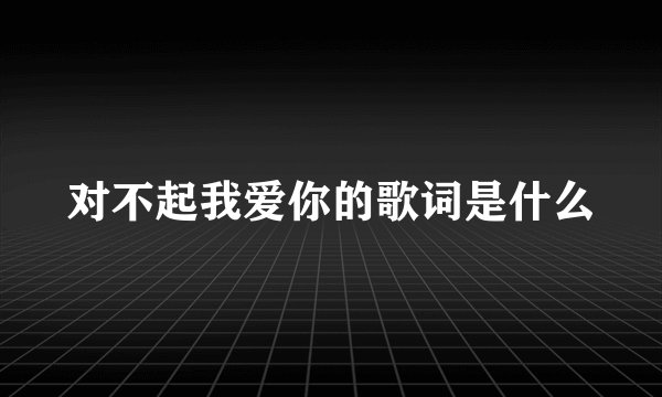 对不起我爱你的歌词是什么