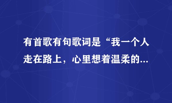 有首歌有句歌词是“我一个人走在路上,心里想着温柔的某某某”是什么歌啊