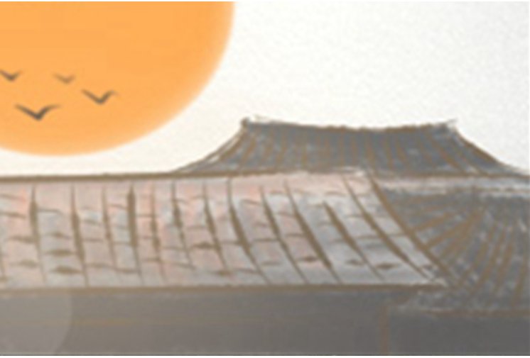 贞伊是什么意思