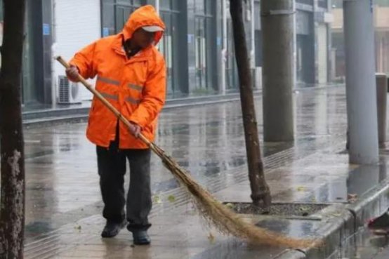 城市黄玫瑰指的是