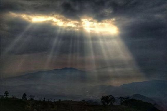 光的效应叫什么