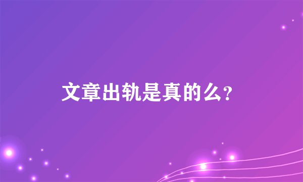 文章出轨是真的么？