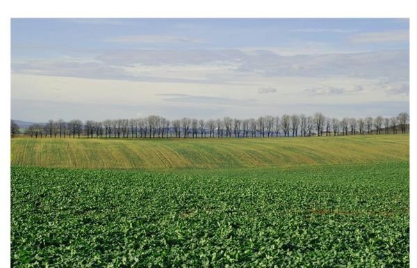 1英亩是中国的多少亩