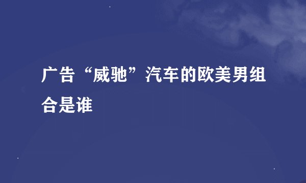 广告“威驰”汽车的欧美男组合是谁