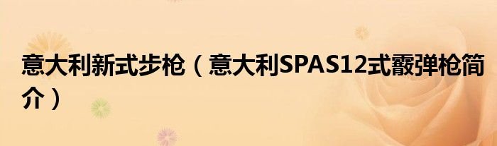 意大利新式步枪意大利SPAS12式霰弹枪简介