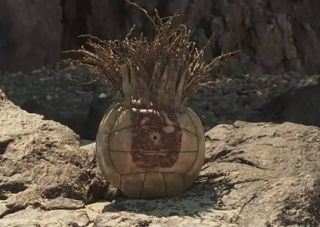 《荒岛余生》主人公最后的邮件内容是什么？