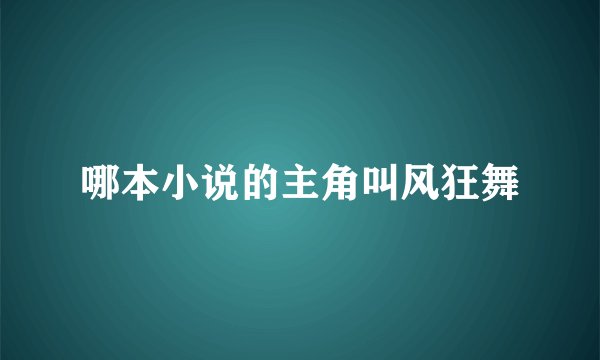哪本小说的主角叫风狂舞