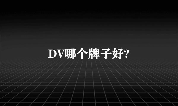 DV哪个牌子好?