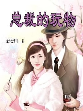 总裁的玩物的内容简介