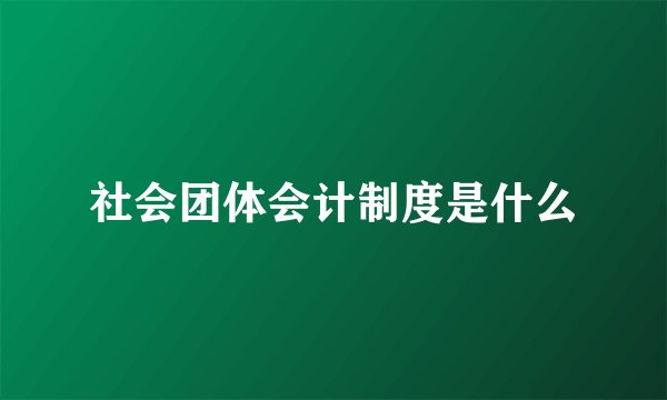 社会团体会计制度是什么