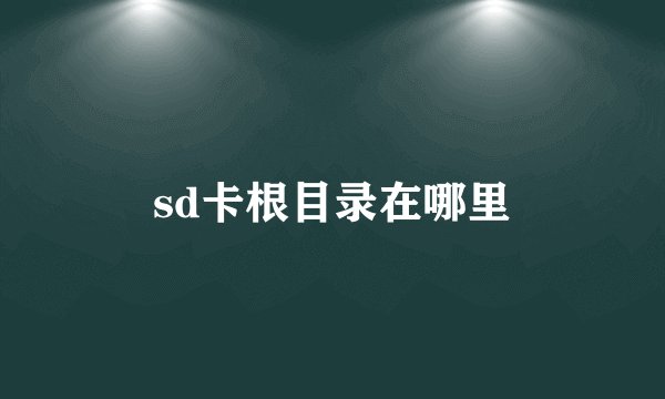 sd卡根目录在哪里