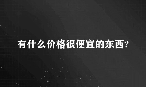 有什么价格很便宜的东西?