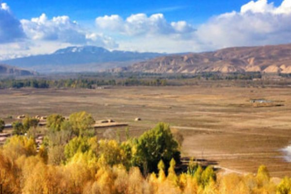 羌笛何须怨杨柳春风不度玉门关指的是我国西北地区