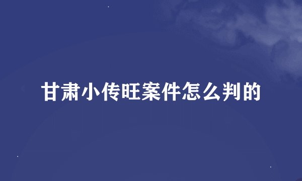 甘肃小传旺案件怎么判的