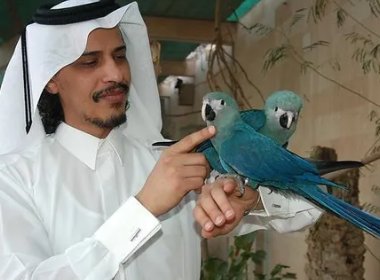 卡塔尔王子有哪几位?