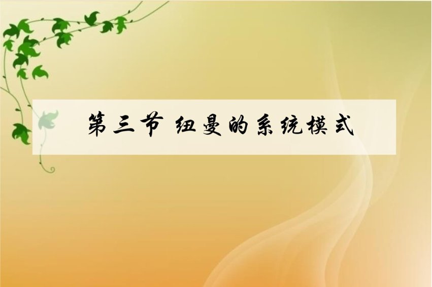 纽曼的健康系统模式结构不包括
