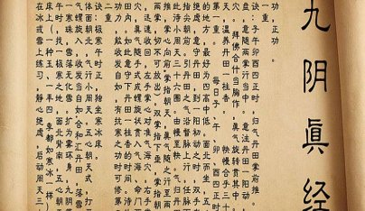 武林中有哪些秘籍?