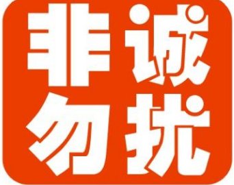 非诚勿扰 是什么意思？