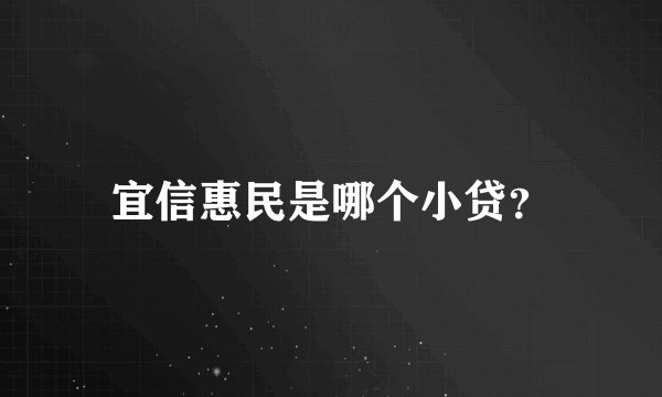 宜信惠民是哪个小贷？
