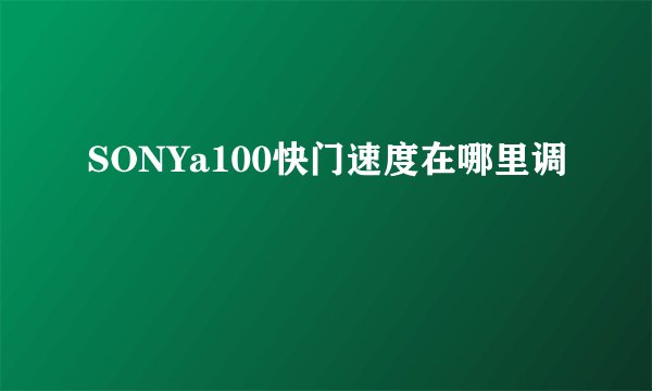 SONYa100快门速度在哪里调