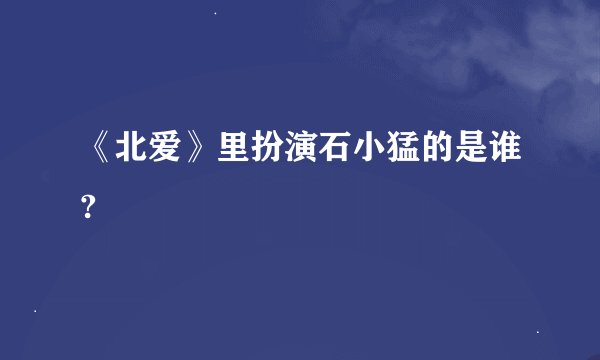 《北爱》里扮演石小猛的是谁?