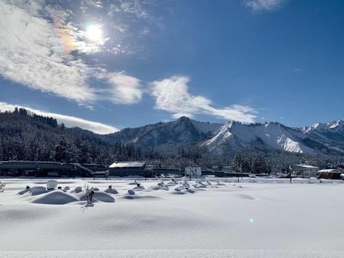 小鸡宝宝考考你冬日可爱是成语吗
