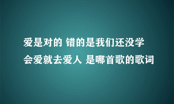 爱是对的 错的是我们还没学会爱就去爱人 是哪首歌的歌词