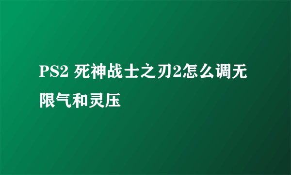 PS2 死神战士之刃2怎么调无限气和灵压