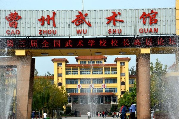 少林寺学武术去哪个学校