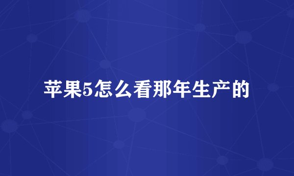 苹果5怎么看那年生产的