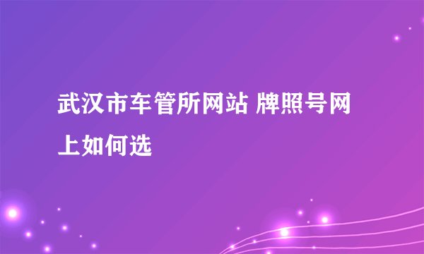 武汉市车管所网站 牌照号网上如何选