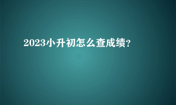2023小升初怎么查成绩?