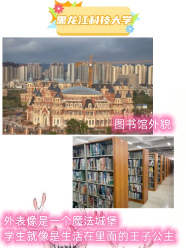 黑龙江科技大学的图书馆怎么样