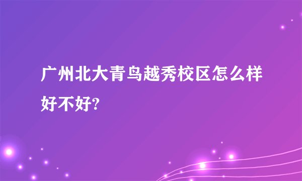 广州北大青鸟越秀校区怎么样好不好?