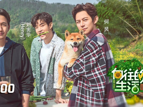 全国收视率最高的综艺节目。前十名！