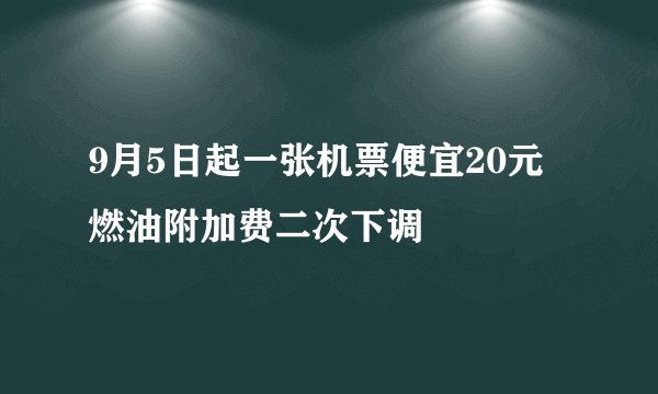 9月5日起一张机票便宜20元 燃油附加费二次下调